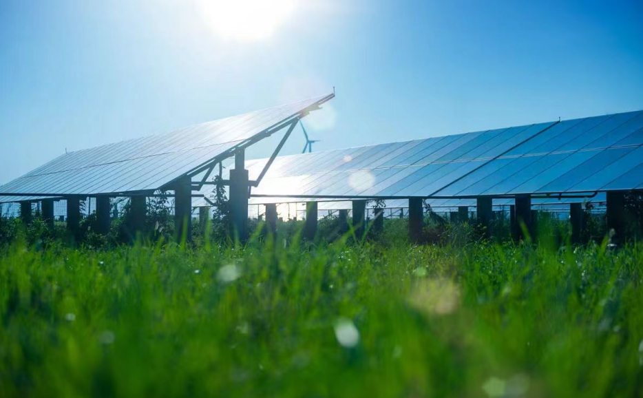 80254501.png image.png